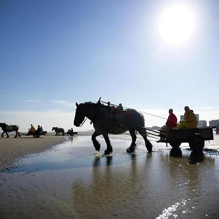 In By Scenic Beaches *