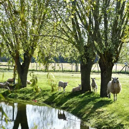 In By Scenic Beaches Apartman Nieuwpoort